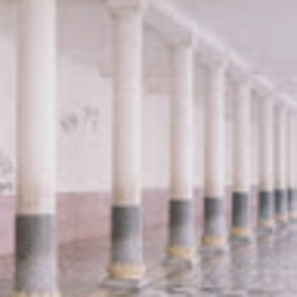 Meet your Posher, Jess - Picture 1 of 1